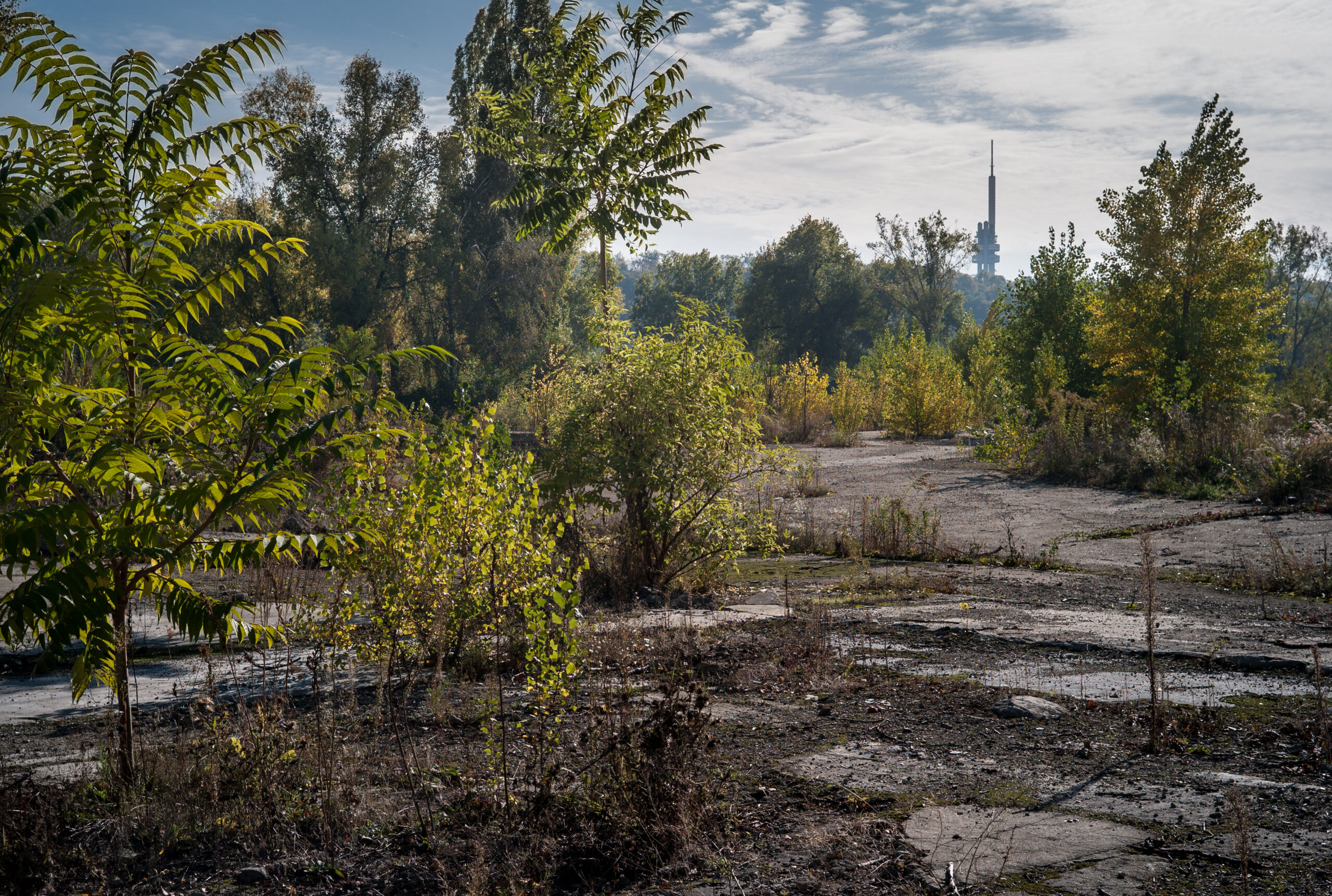 Brownfield s výhledem na Žižovský vysílač v Praze.